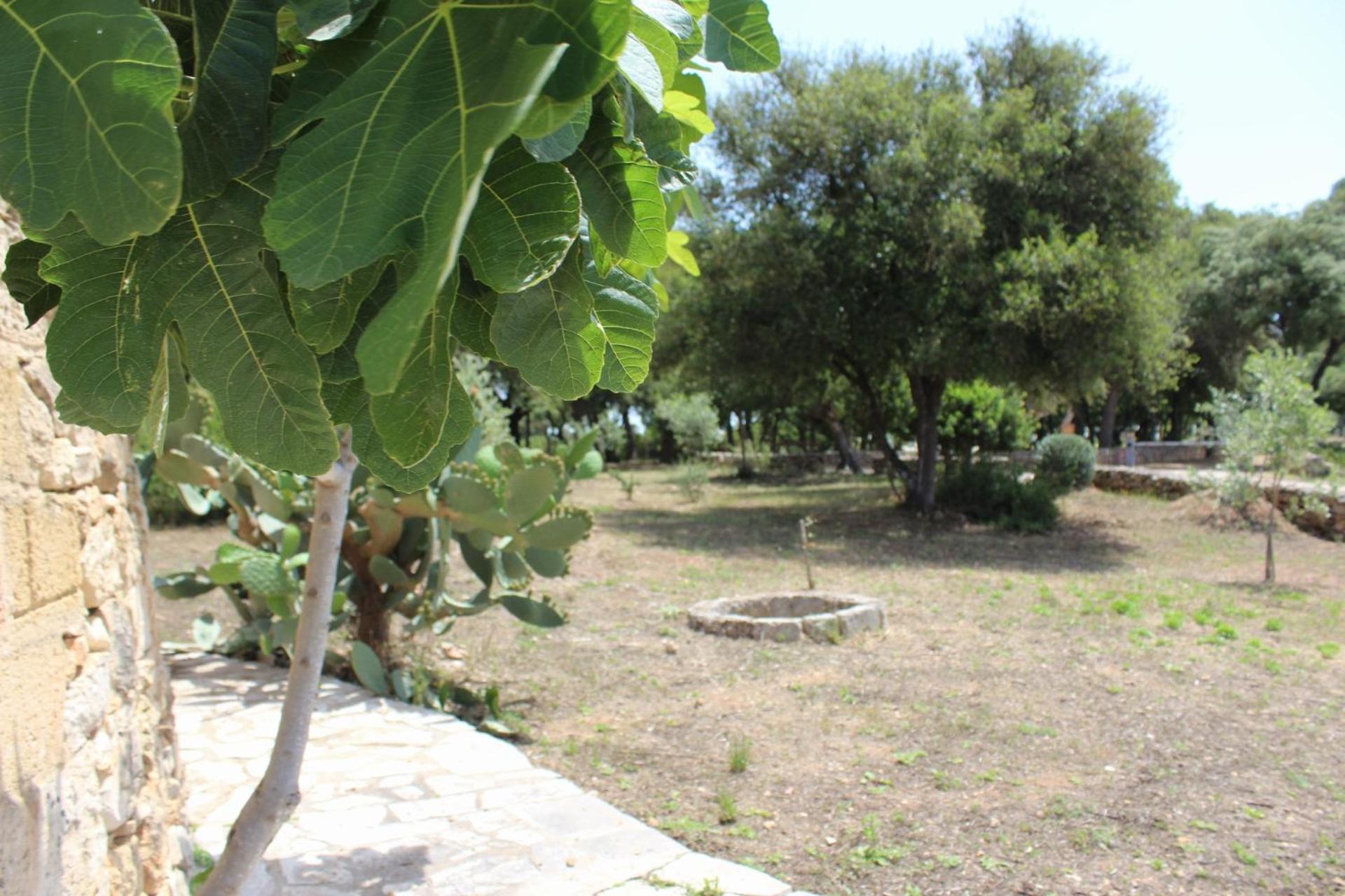 Tenuta Ferraro Gallipoli Exterior photo